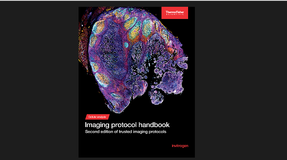 Imaging protocol handbook