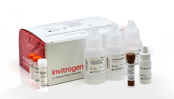 Invitrogen™ Aluora™ Spatial Amplification Kits